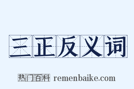 三正反义词是什么意思的图片